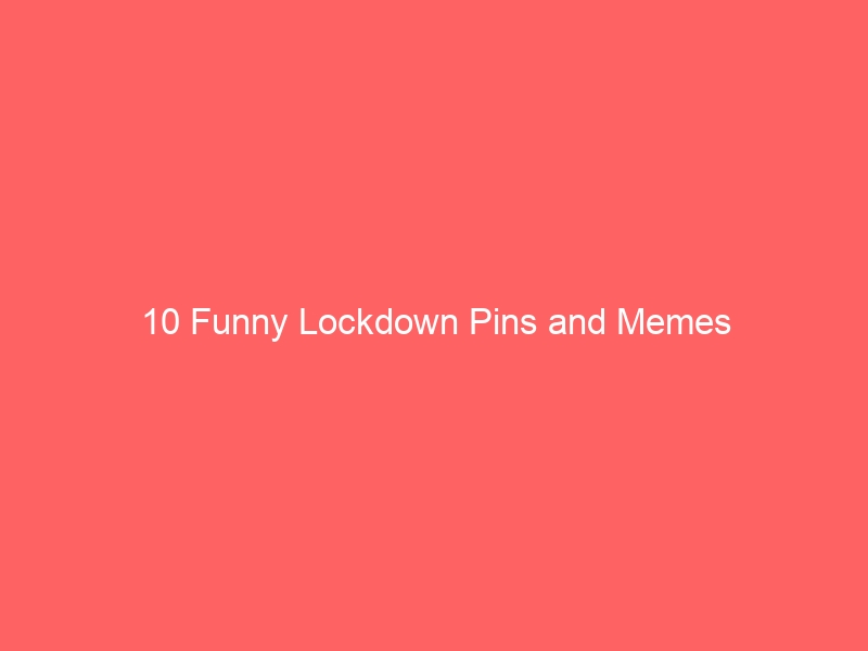 10 Funny Lockdown Pins and Memes